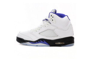Jordan 5 Retro Dark Concord